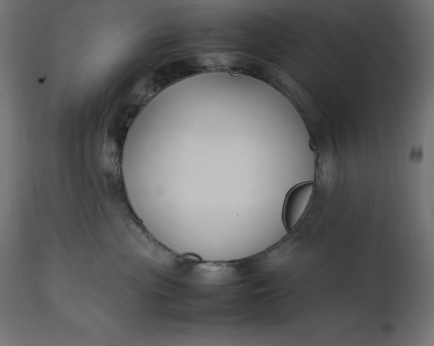 X0000111530477200907281407