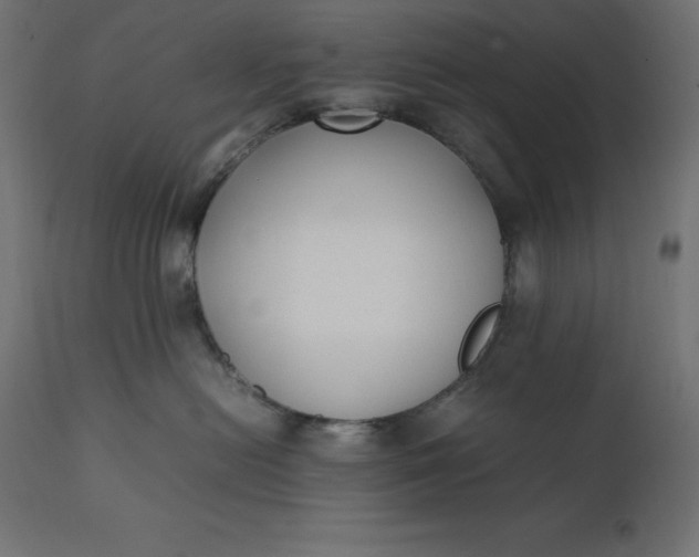 X0000111530478200907281407