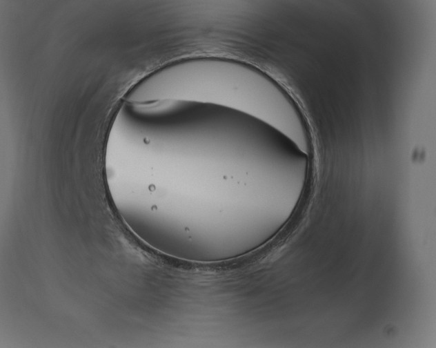 X0000111530481200907281406