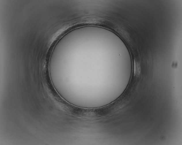 X0000111530483200907281406