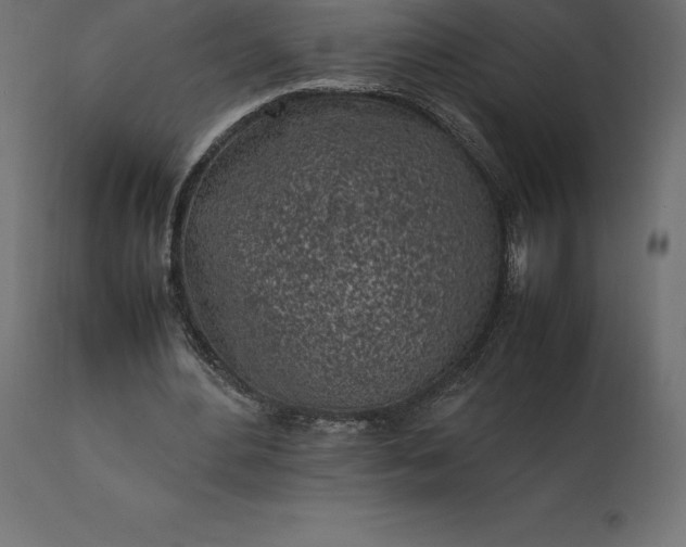 X0000111530484200907281406