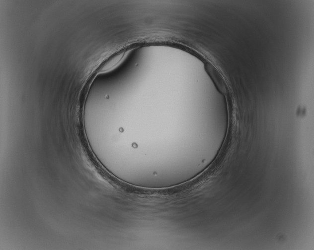 X0000111530485200907281406