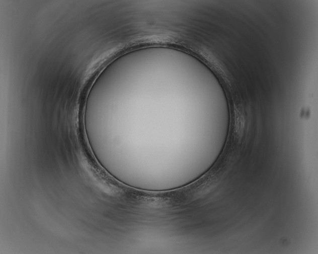 X0000111530486200907281406