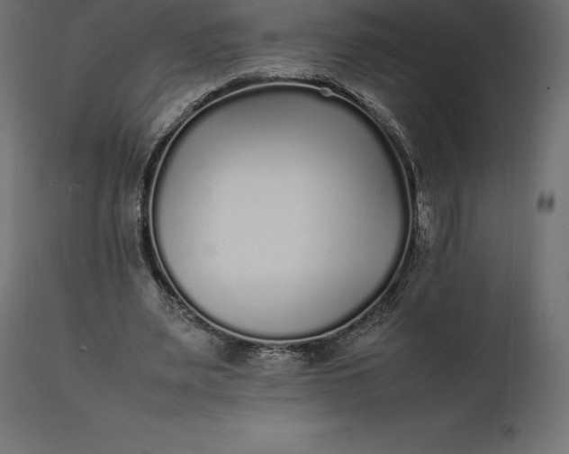 X0000111530487200907281406