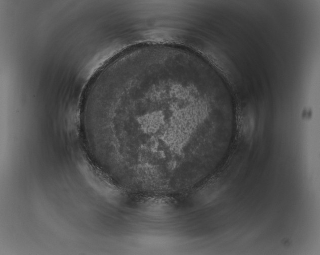 X0000111530488200907281406