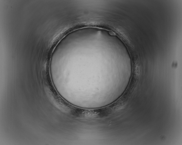 X0000111530491200907281406