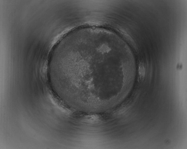 X0000111530492200907281406