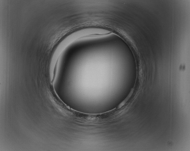 X0000111530493200907281406