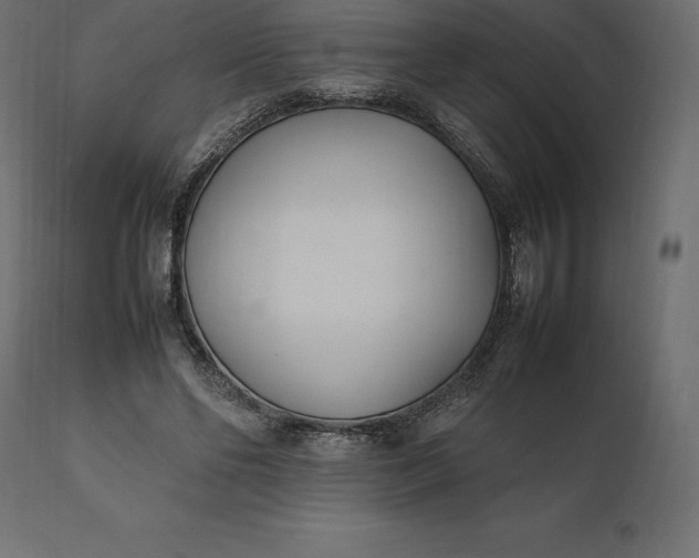 X0000111530494200907281406