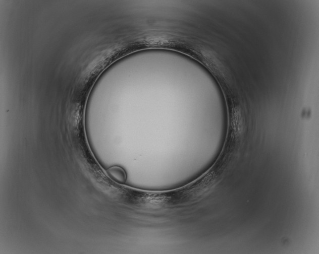 X0000111530495200907281406