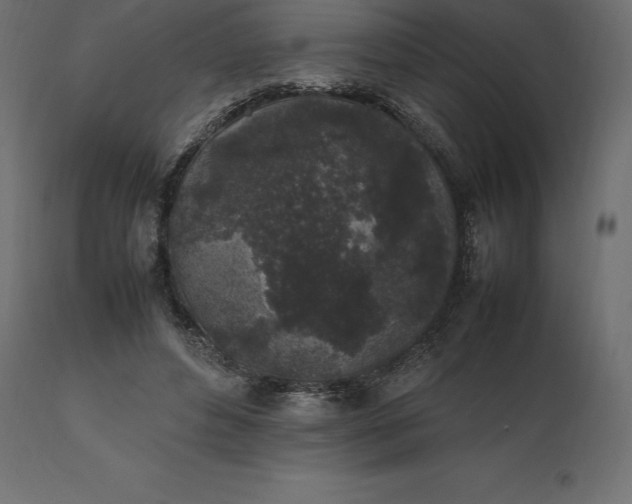 X0000111530496200907281406