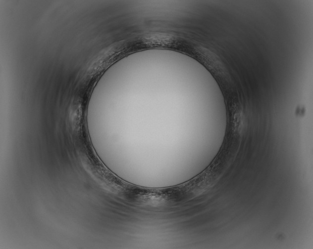 X0000111530498200907281406