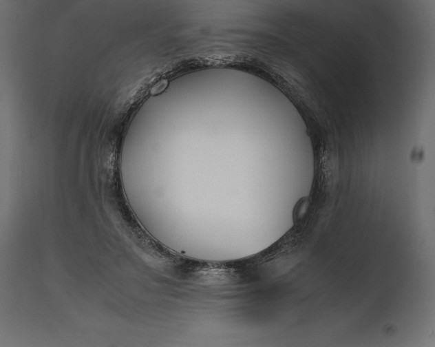 X0000111530499200907281406