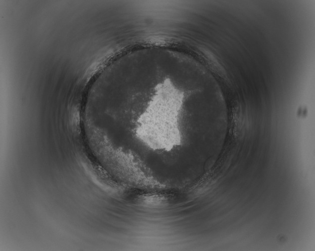 X0000111530500200907281406