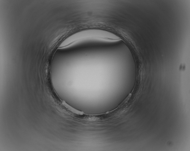 X0000111530501200907281406