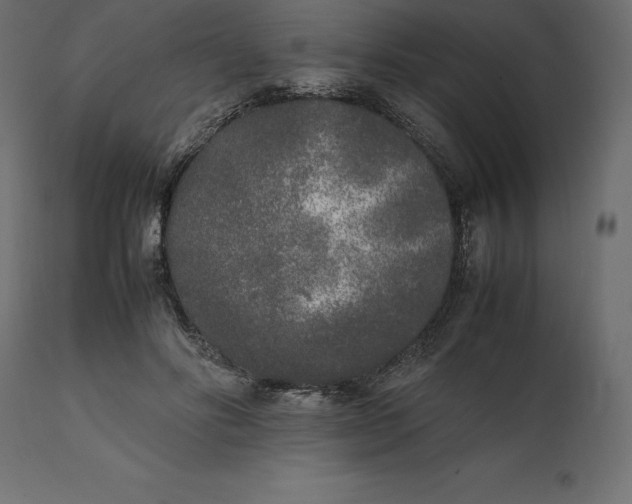 X0000111530502200907281406