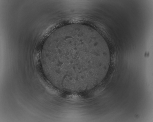 X0000111530503200907281406