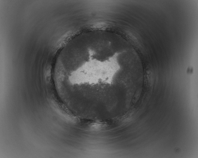 X0000111530504200907281406