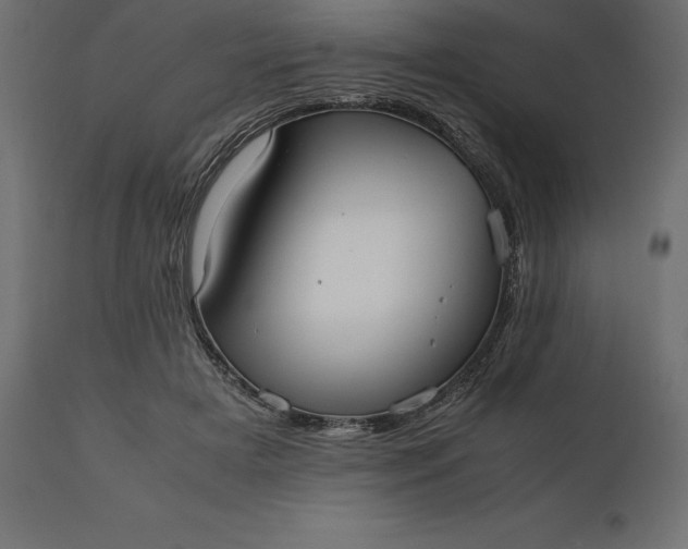 X0000111530505200907281406