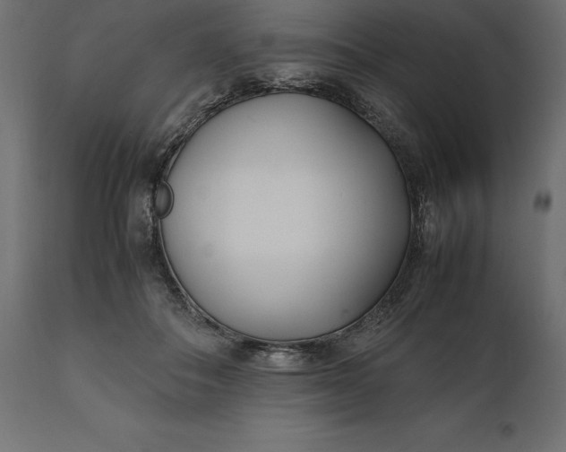 X0000111530506200907281406