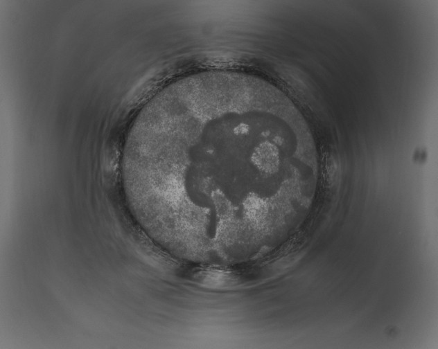 X0000111530507200907281406