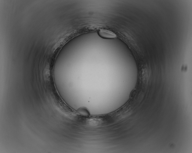 X0000111530508200907281406