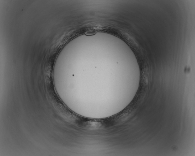 X0000111530509200907281406