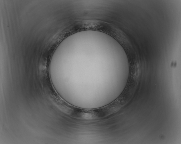 X0000111530510200907281406