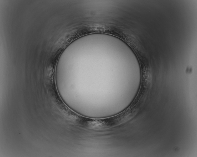 X0000111530511200907281406