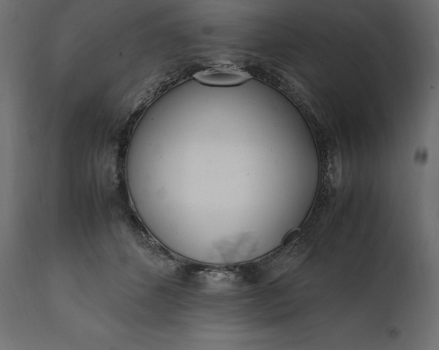 X0000111530512200907281406