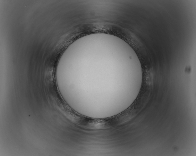 X0000111530514200907281406