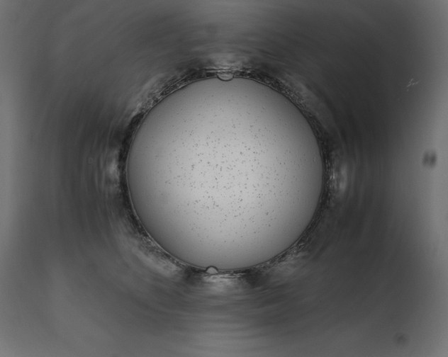 X0000111530516200907281406