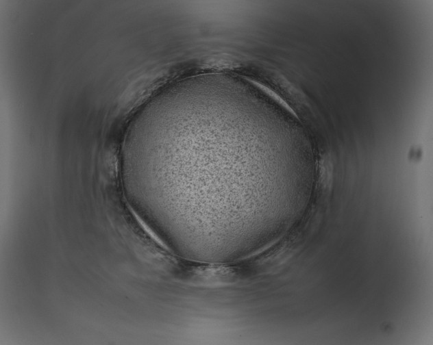 X0000111530517200907281406