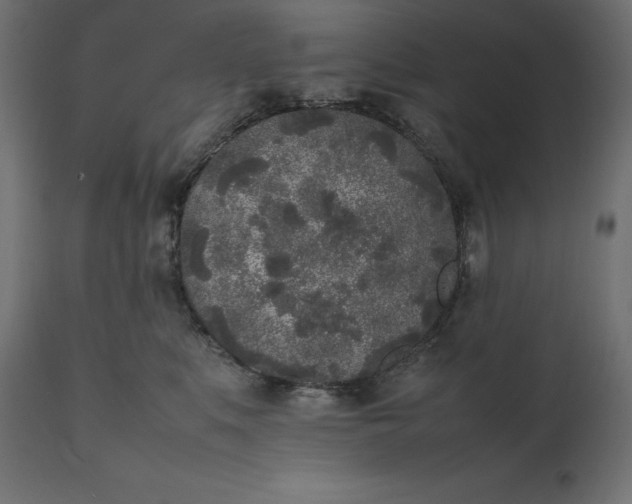 X0000111530519200907281406