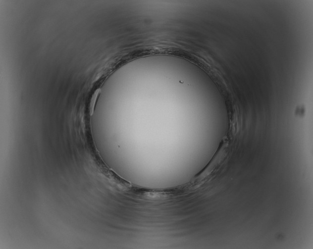 X0000111530520200907281406