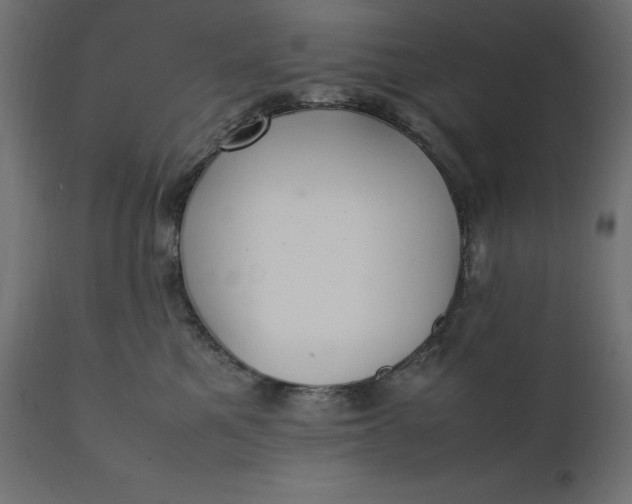 X0000111530521200907281406