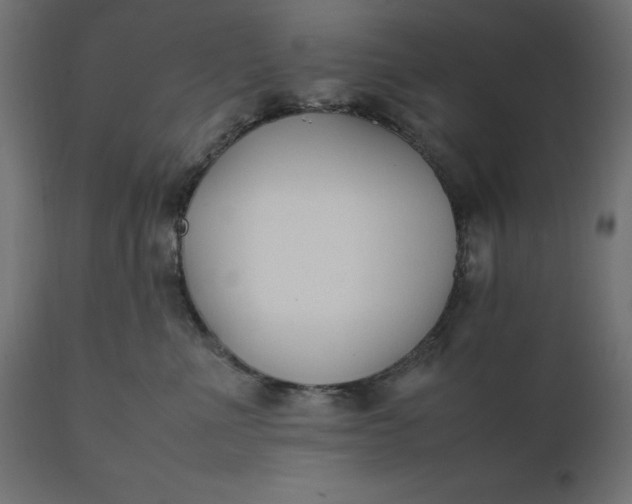 X0000111530523200907281406