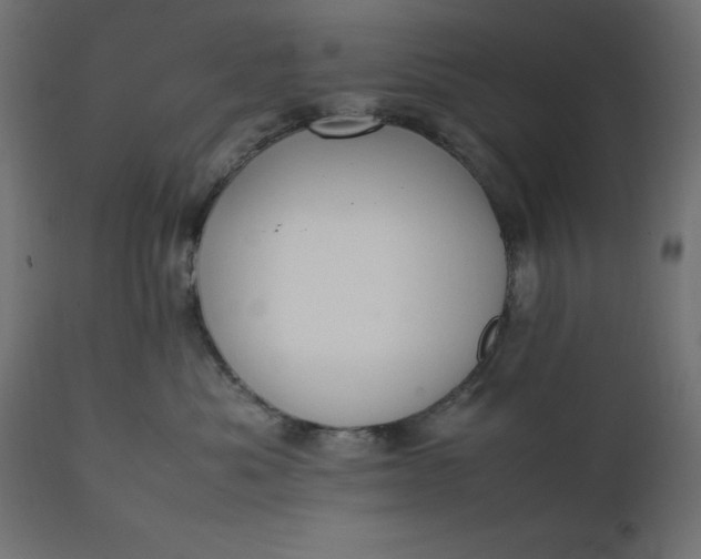 X0000111530525200907281405