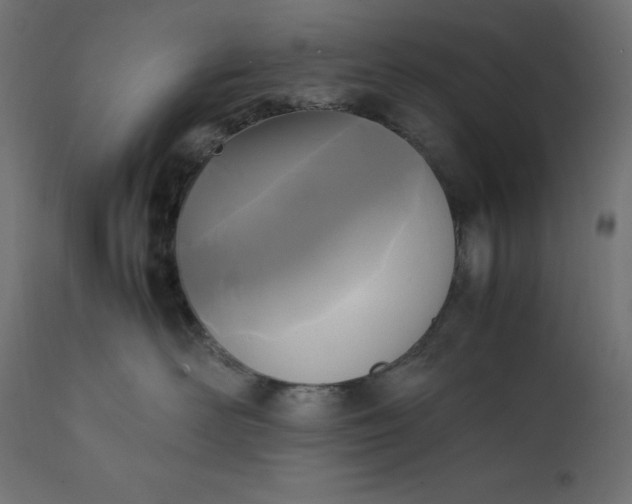 X0000111530526200907281405