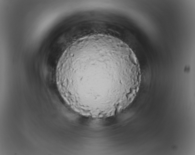 X0000111530527200907281405