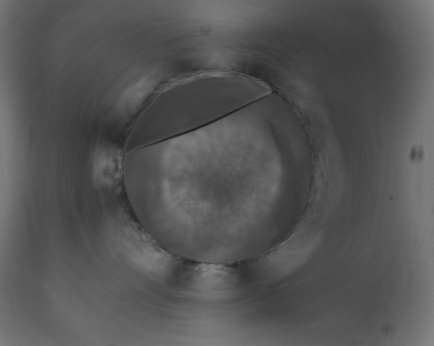 X0000111530528200907281405