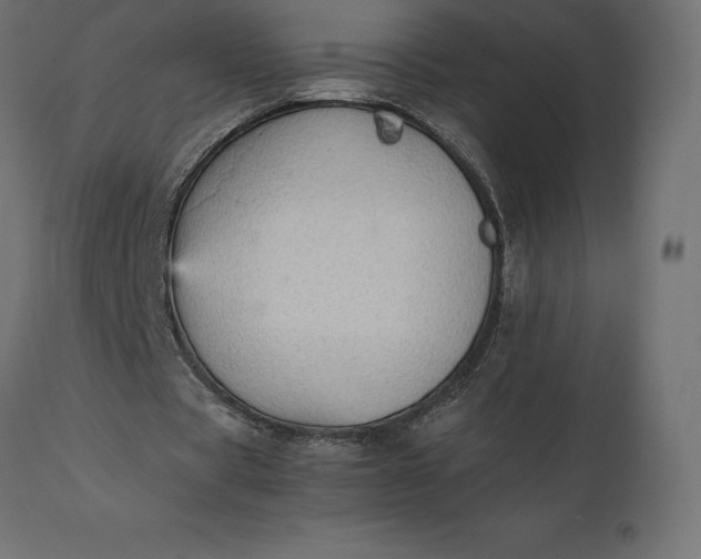 X0000111530529200907281405