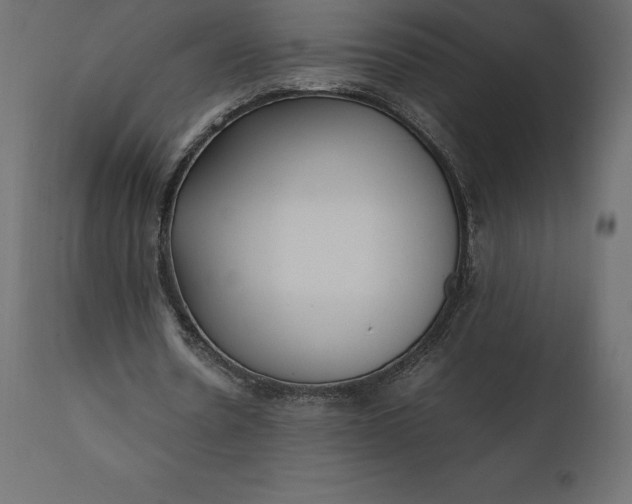 X0000111530530200907281405