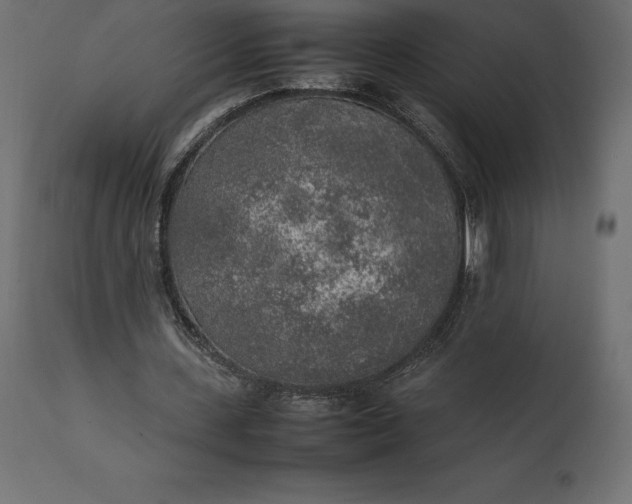 X0000111530531200907281405