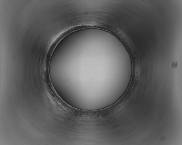 X0000111530532200907281405