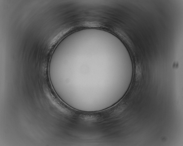 X0000111530533200907281405