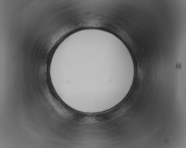 X0000111530534200907281405