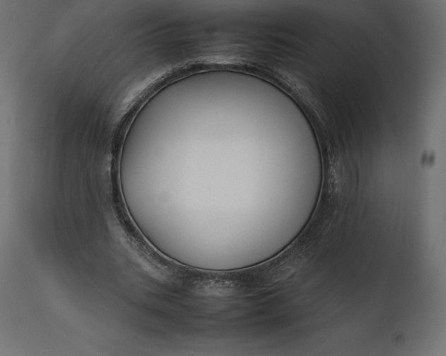 X0000111530535200907281405