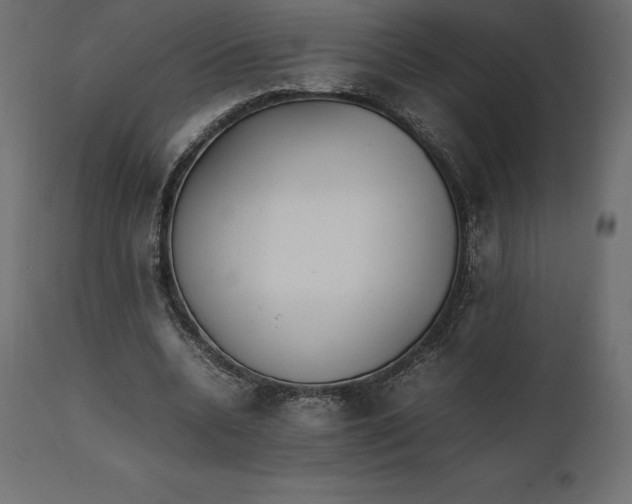 X0000111530536200907281405