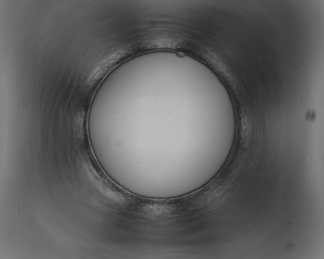 X0000111530537200907281405